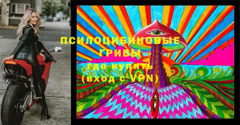 Галлюциногенные грибы MAGIC MUSHROOMS  Алейск 